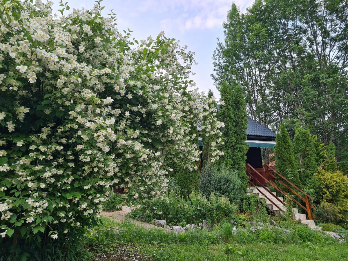 Willa House Poljana Plitvička Jezera Zewnętrze zdjęcie